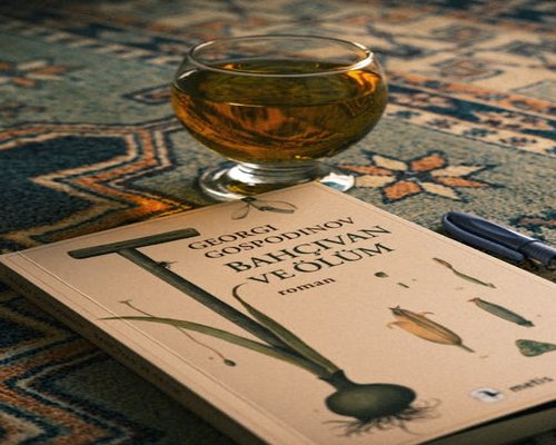 Book reading and relaxation time